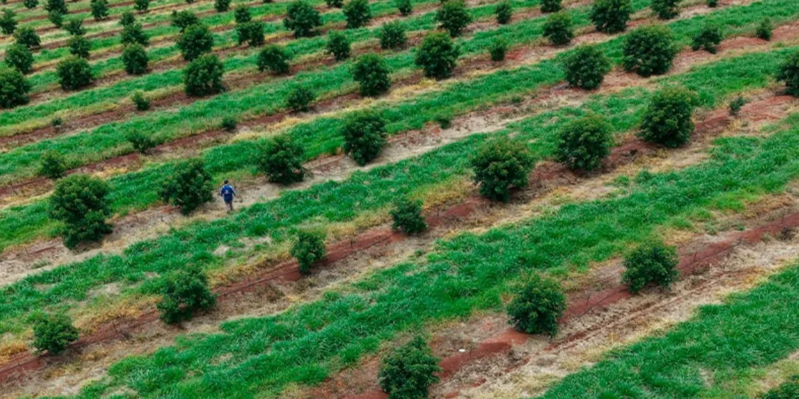 Vista aérea da área agrícola da Fazenda São Marcos em Sarutaiá, SP