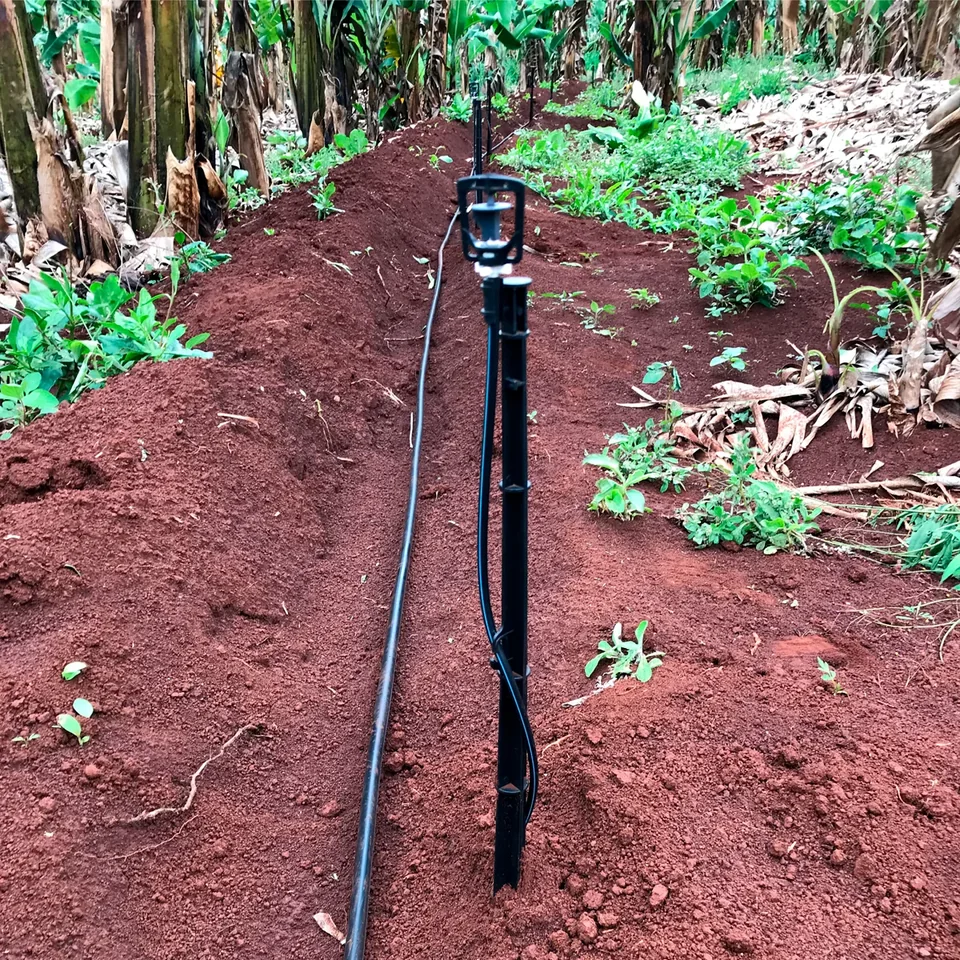 Microaspersão em operação junto a uma cultura agrícola