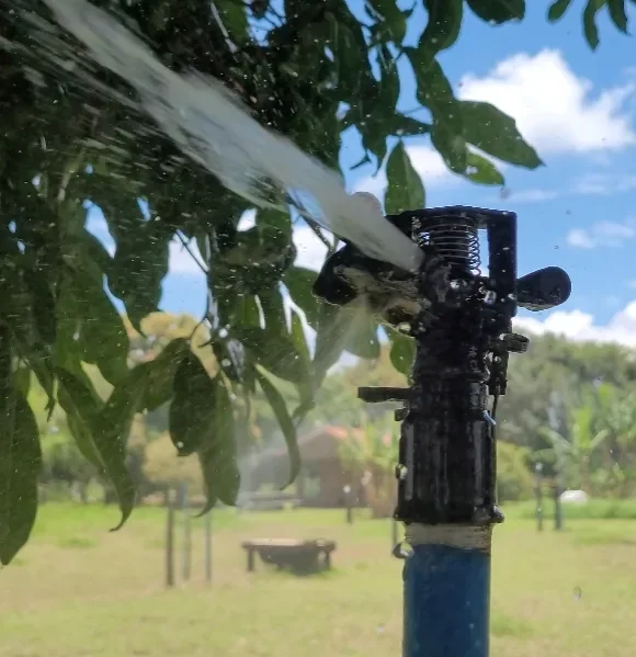 Aspersor distribuindo água sobre uma área de cultivo